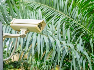 Security expert at work